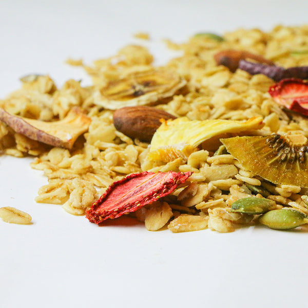 自家製ドライフルーツ グラノーラ